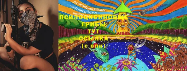 не бодяженный Богородицк