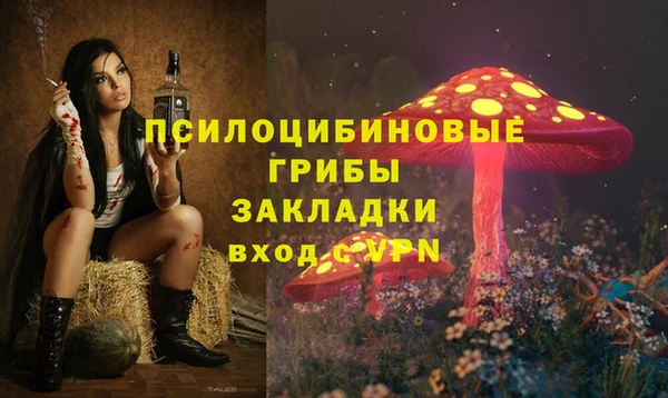 не бодяженный Богородицк