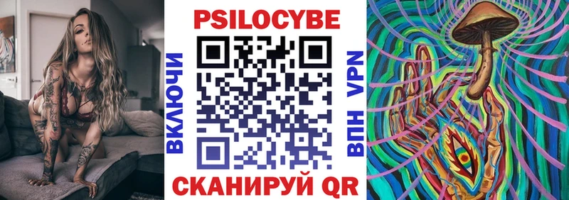 Купить  Губкинский  Псилоцибиновые грибы GOLDEN TEACHER 