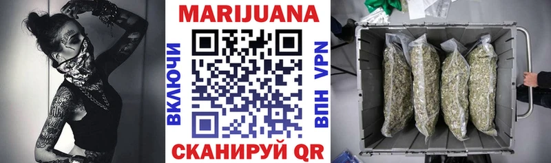 Купить где  Губкинский  Шишки марихуана SATIVA & INDICA 